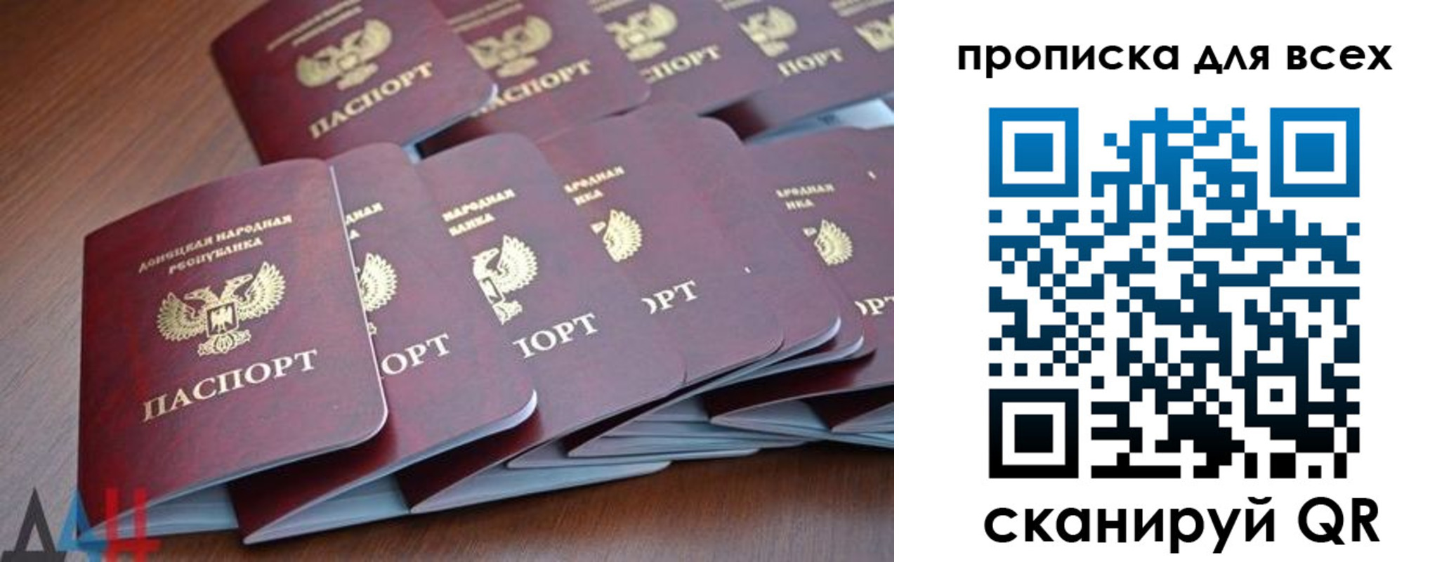 прописка в Димитровграде